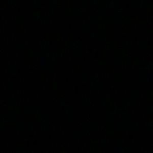 Meet your Posher, Cody